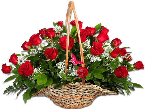 Red Наоми