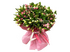 Алисия