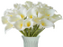 Калла Эфиопская