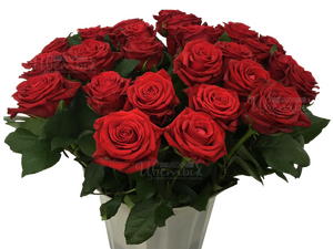 Кон Аморе/розы красные